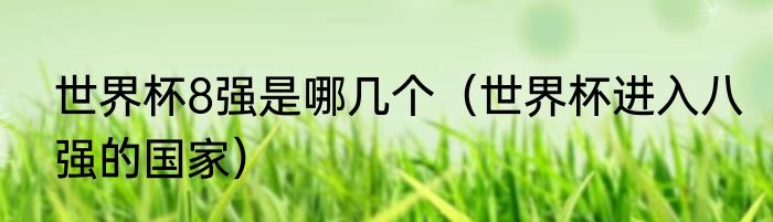 世界杯8强是哪几个（世界杯进入八强的国家）