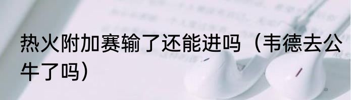 热火附加赛输了还能进吗（韦德去公牛了吗）