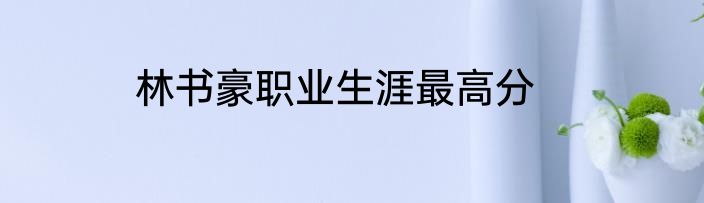 林书豪职业生涯最高分