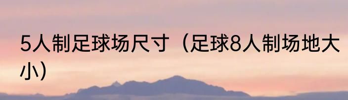 5人制足球场尺寸（足球8人制场地大小）