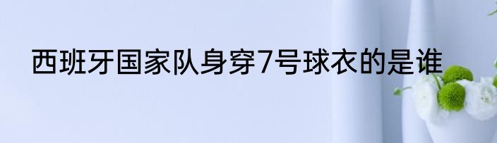 西班牙国家队身穿7号球衣的是谁