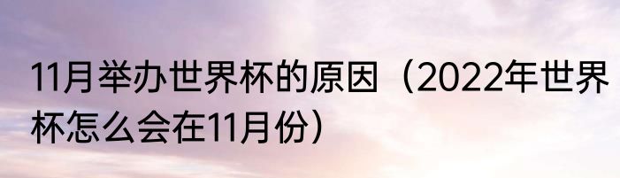 11月举办世界杯的原因（2022年世界杯怎么会在11月份）
