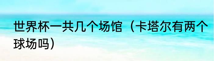 世界杯一共几个场馆（卡塔尔有两个球场吗）