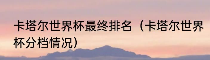 卡塔尔世界杯最终排名（卡塔尔世界杯分档情况）