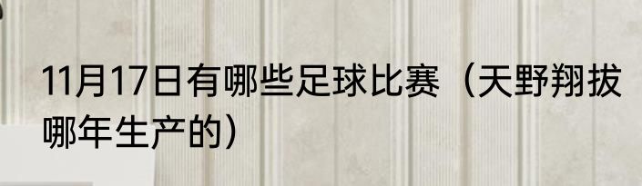 11月17日有哪些足球比赛（天野翔拔哪年生产的）