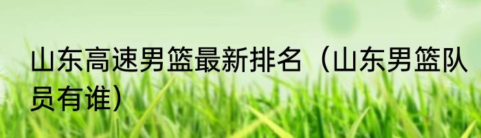 山东高速男篮最新排名（山东男篮队员有谁）