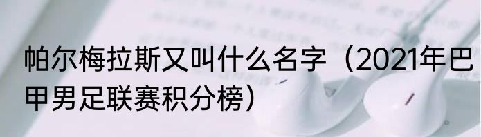 帕尔梅拉斯又叫什么名字（2021年巴甲男足联赛积分榜）