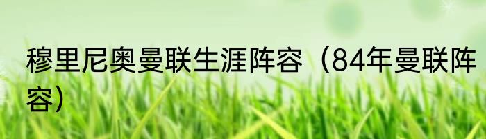 穆里尼奥曼联生涯阵容（84年曼联阵容）