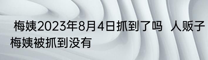  梅姨2023年8月4日抓到了吗  人贩子梅姨被抓到没有 
