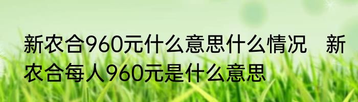 新农合960元什么意思什么情况   新农合每人960元是什么意思