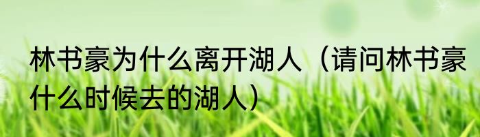 林书豪为什么离开湖人（请问林书豪什么时候去的湖人）