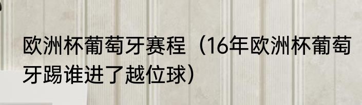 欧洲杯葡萄牙赛程（16年欧洲杯葡萄牙踢谁进了越位球）