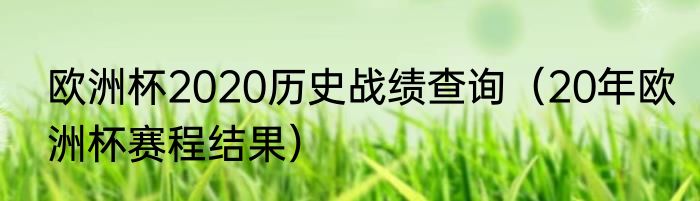 欧洲杯2020历史战绩查询（20年欧洲杯赛程结果）