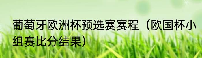 葡萄牙欧洲杯预选赛赛程（欧国杯小组赛比分结果）