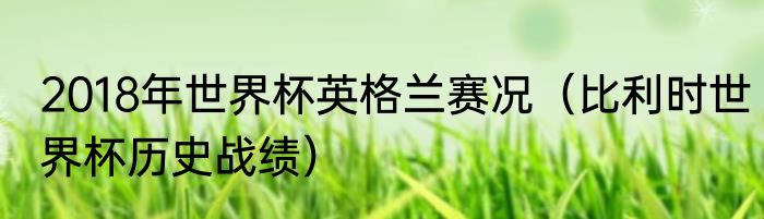 2018年世界杯英格兰赛况（比利时世界杯历史战绩）