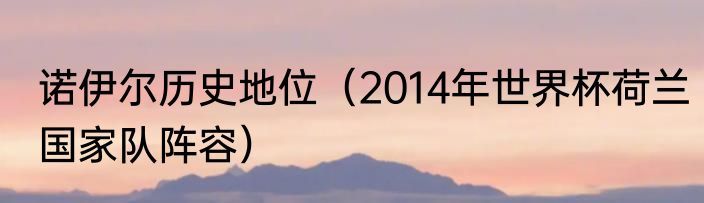诺伊尔历史地位（2014年世界杯荷兰国家队阵容）