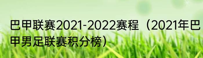 巴甲联赛2021-2022赛程（2021年巴甲男足联赛积分榜）