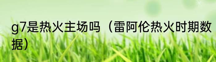 g7是热火主场吗（雷阿伦热火时期数据）