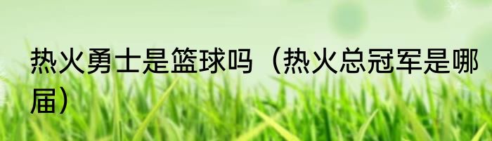 热火勇士是篮球吗（热火总冠军是哪届）