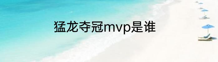 猛龙夺冠mvp是谁