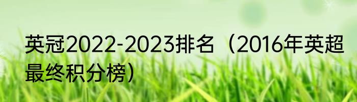英冠2022-2023排名（2016年英超最终积分榜）