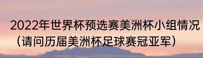 2022年世界杯预选赛美洲杯小组情况（请问历届美洲杯足球赛冠亚军）