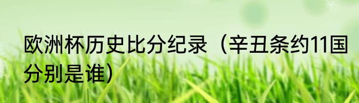欧洲杯历史比分纪录（辛丑条约11国分别是谁）