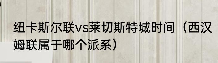 纽卡斯尔联vs莱切斯特城时间（西汉姆联属于哪个派系）
