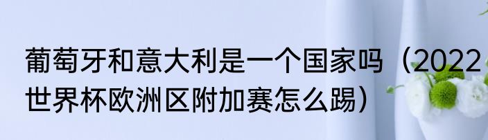 葡萄牙和意大利是一个国家吗（2022世界杯欧洲区附加赛怎么踢）