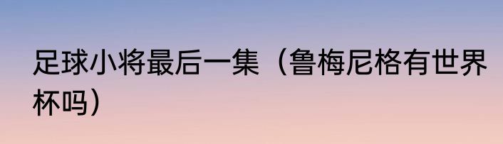 足球小将最后一集（鲁梅尼格有世界杯吗）