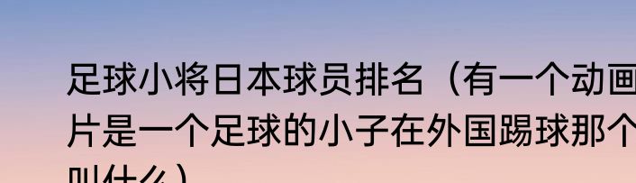 足球小将日本球员排名（有一个动画片是一个足球的小子在外国踢球那个叫什么）