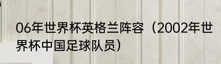 06年世界杯英格兰阵容（2002年世界杯中国足球队员）