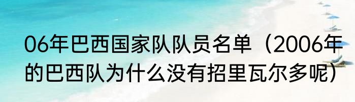 06年巴西国家队队员名单（2006年的巴西队为什么没有招里瓦尔多呢）