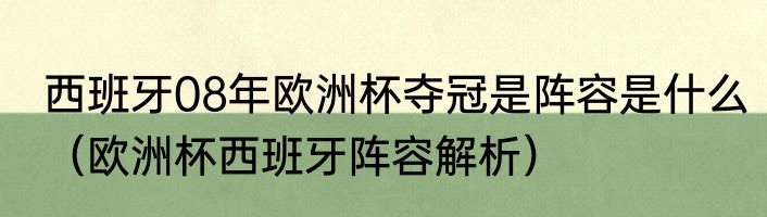 西班牙08年欧洲杯夺冠是阵容是什么（欧洲杯西班牙阵容解析）