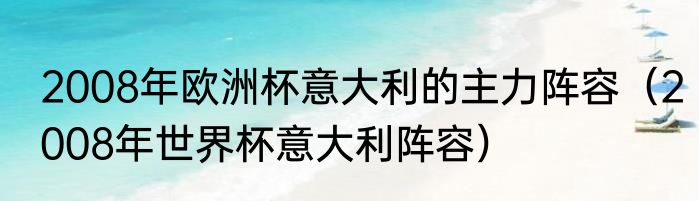 2008年欧洲杯意大利的主力阵容（2008年世界杯意大利阵容）