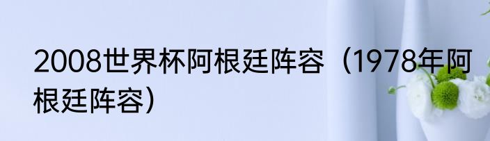 2008世界杯阿根廷阵容（1978年阿根廷阵容）