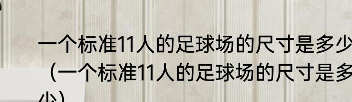一个标准11人的足球场的尺寸是多少（一个标准11人的足球场的尺寸是多少）