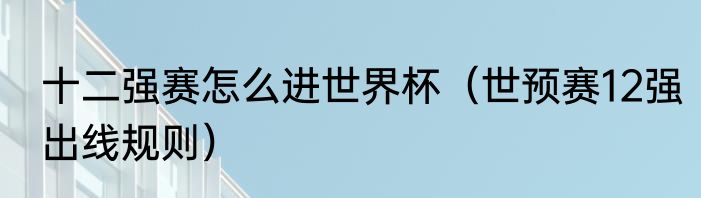 十二强赛怎么进世界杯（世预赛12强出线规则）