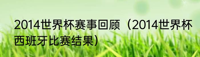 2014世界杯赛事回顾（2014世界杯西班牙比赛结果）