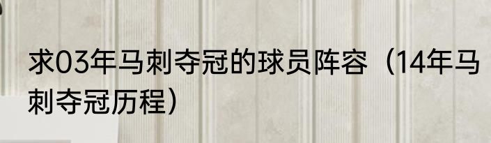 求03年马刺夺冠的球员阵容（14年马刺夺冠历程）