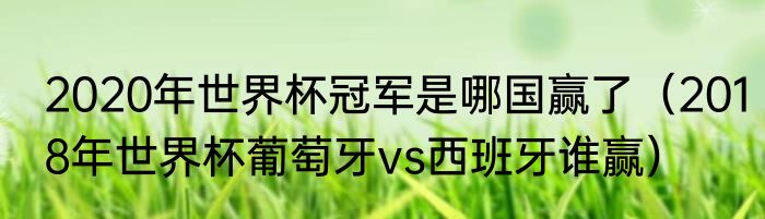 2020年世界杯冠军是哪国赢了（2018年世界杯葡萄牙vs西班牙谁赢）