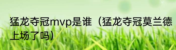 猛龙夺冠mvp是谁（猛龙夺冠莫兰德上场了吗）