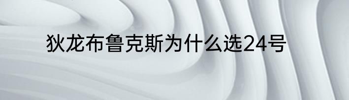 狄龙布鲁克斯为什么选24号