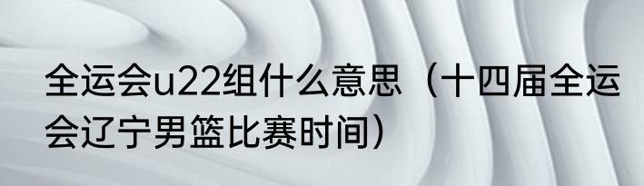 全运会u22组什么意思（十四届全运会辽宁男篮比赛时间）