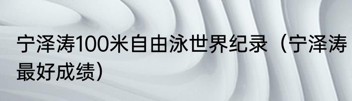 宁泽涛100米自由泳世界纪录（宁泽涛最好成绩）