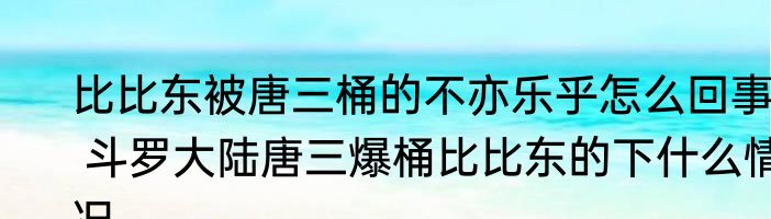 比比东被唐三桶的不亦乐乎怎么回事  斗罗大陆唐三爆桶比比东的下什么情况