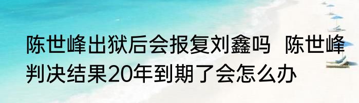 陈世峰出狱后会报复刘鑫吗  陈世峰判决结果20年到期了会怎么办