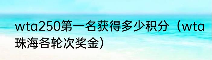 wta250第一名获得多少积分（wta珠海各轮次奖金）