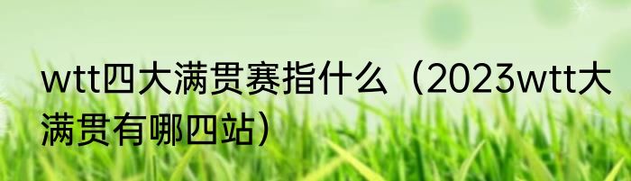 wtt四大满贯赛指什么（2023wtt大满贯有哪四站）