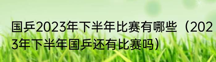 国乒2023年下半年比赛有哪些（2023年下半年国乒还有比赛吗）